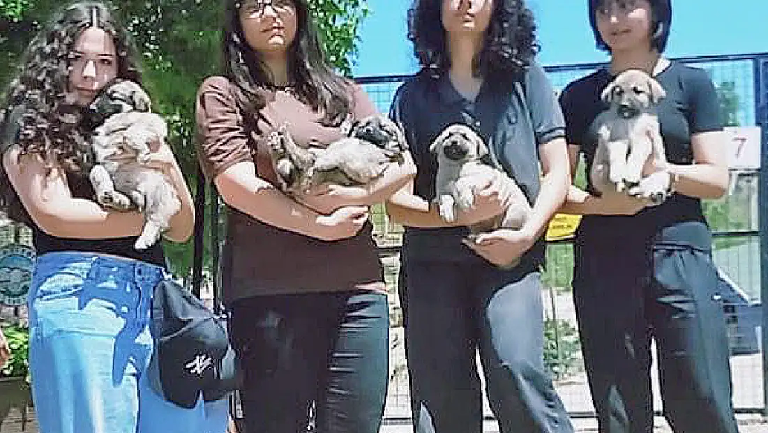 Talas Pati Evi’nde Öğrencilerden Can Dostlara Sevgi Ziyareti