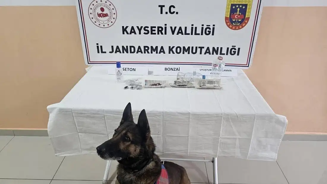 Tomarza’da Uyuşturucu Operasyonu: 12 Tutuklama