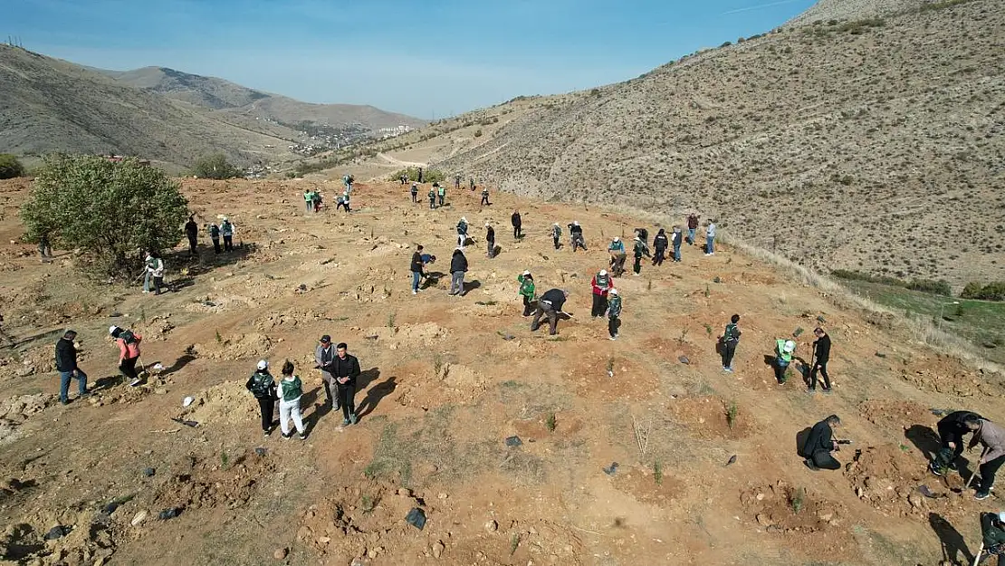 100'üncü Yıl Cumhuriyet Ormanı Fidan Dikme Programı