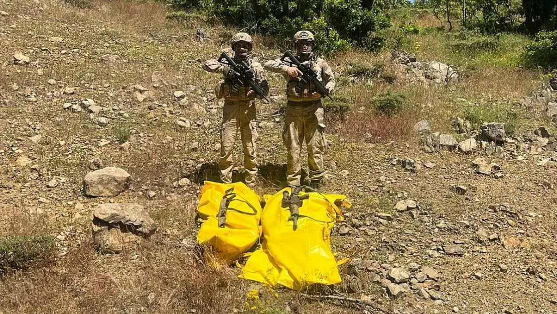 2 PKK'LI ÖLDÜRÜLDÜ