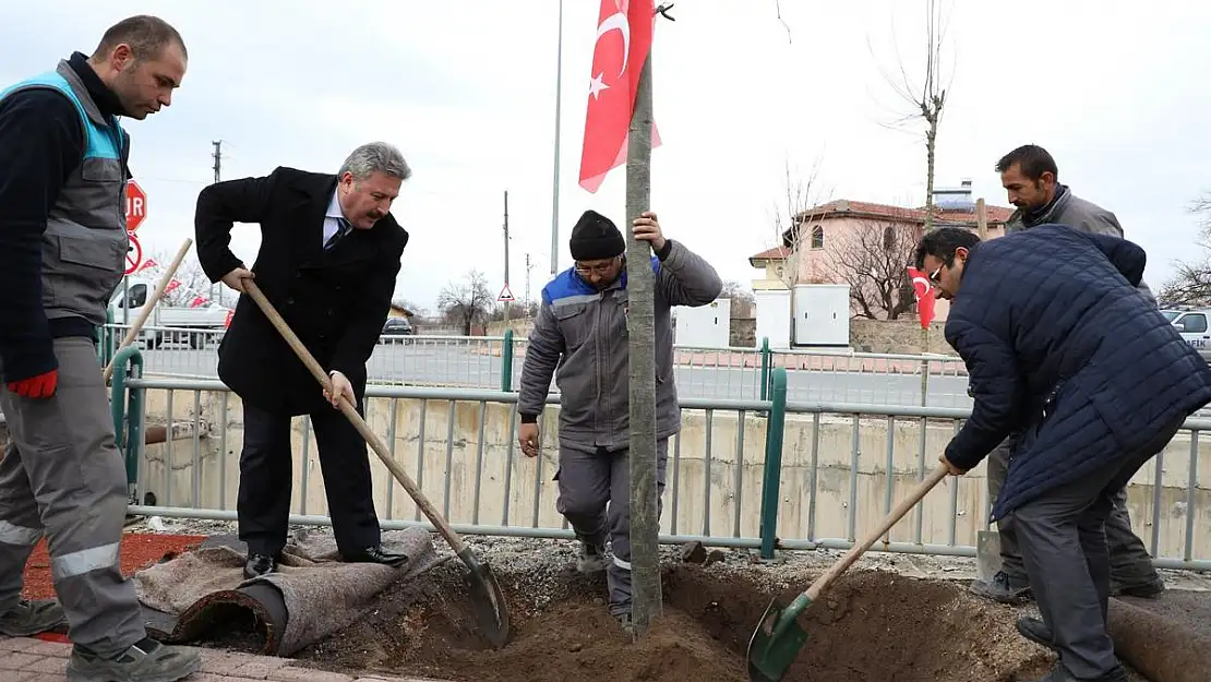 2020 Yılı Ağaçlandırma ve Yeşillendirme Yılı Olacak