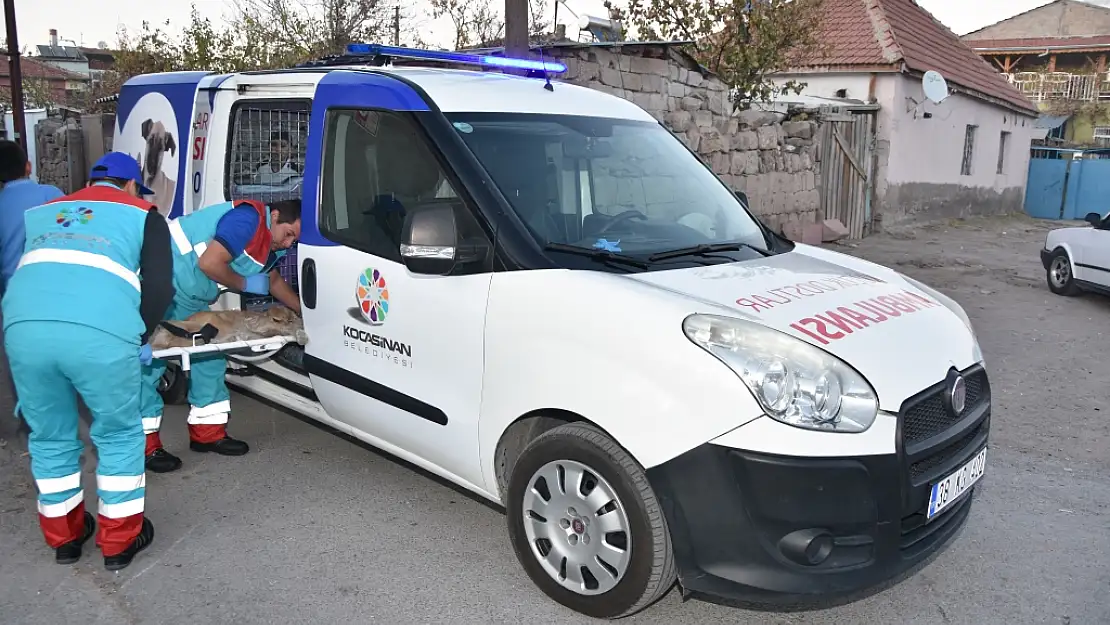 7 gün 24 saat kesintisiz hizmet