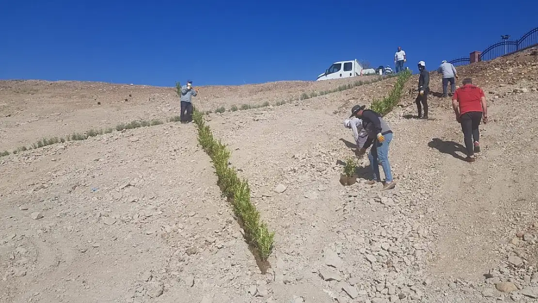 Adıyaman belediyesi peyzaj çalışmaları