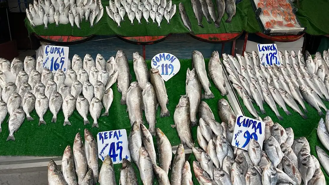 Balıkçı Çetinkaya, 'Hamsiyi bu sene 50 liradan satarız'