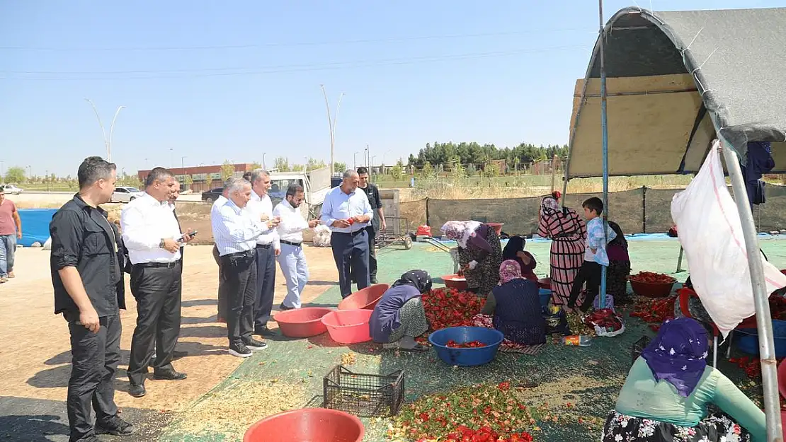 BAŞKAN BEYAZGÜL, GAZETECİ DONAT'A URFA DEĞERLERİNİ
