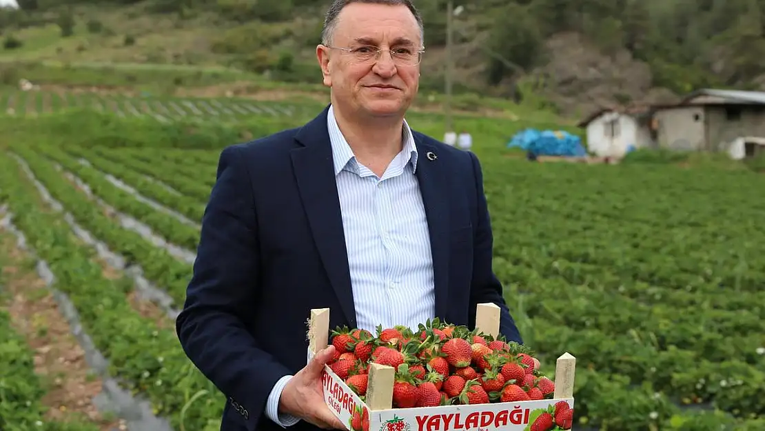 BAŞKAN SAVAŞ'IN PROJESİ İLK MEYVESİNİ VERDİ