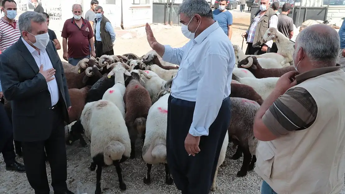 BEYAZGÜL HAYVAN BORSASI ESNAFINI ZİYARET ETTİ