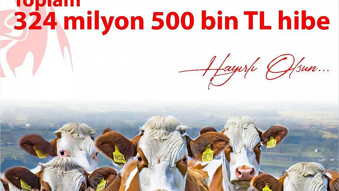 Büyükkılıç'tan hayvan yetiştiricilerine müjde