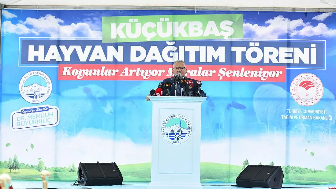 BÜYÜKŞEHİR, 3 BİN 200 KÜÇÜKBAŞ HAYVAN DAĞITIMINA BAŞLIYOR