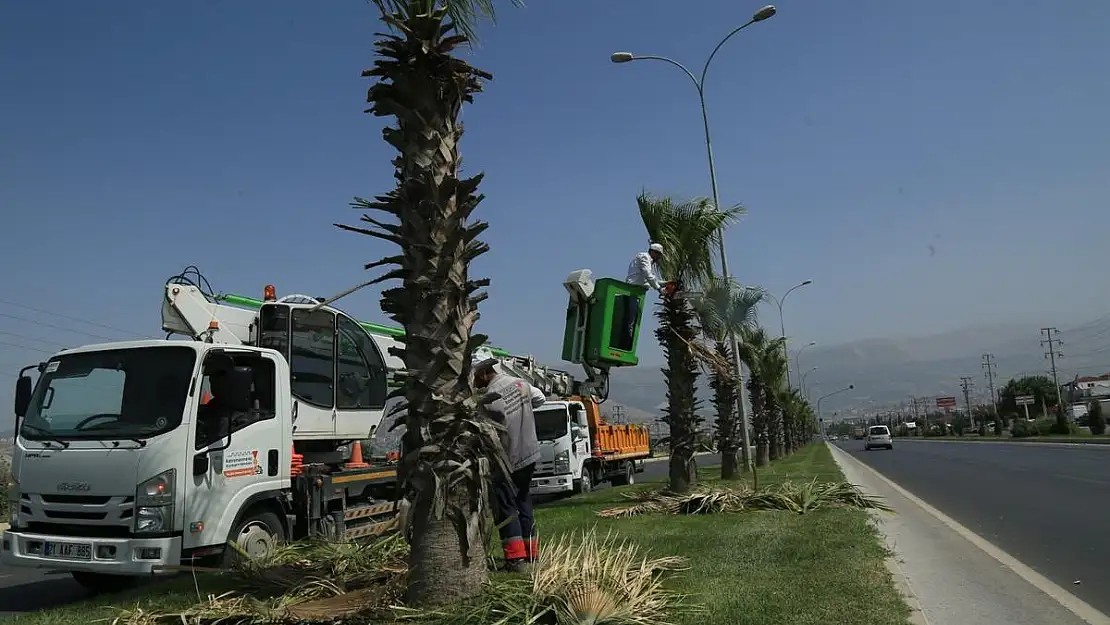 Büyükşehir'den yeşil alan bakım çalışmaları