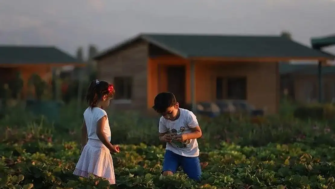 Büyükşehir'de 2 bin 543 adet 'hobi bahçesi' başvuruları başladı