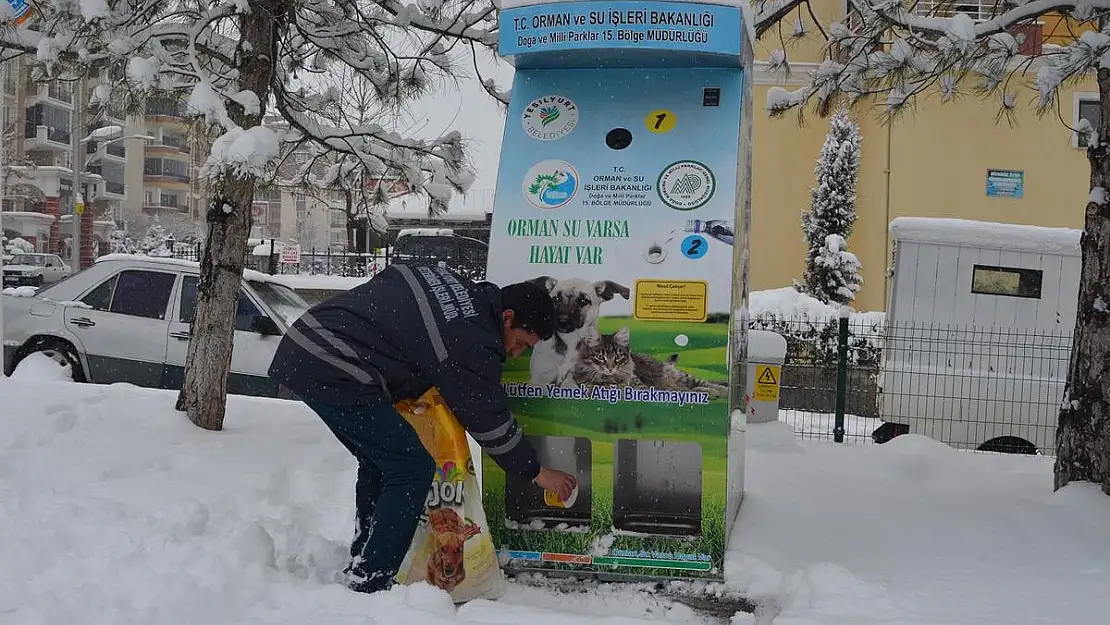 'Canlıları Sevmek ve Kollamak İnsani Bir Sorumluluktur'