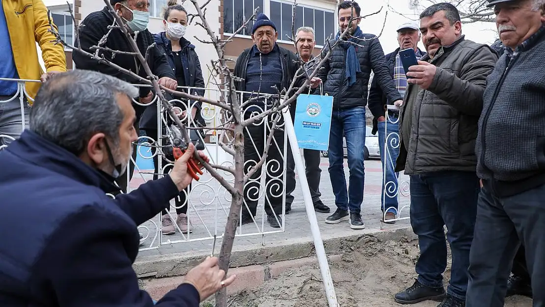 ÇİFTÇİLERE UYGULAMALI AŞI VE BUDAMA  EĞİTİMİ