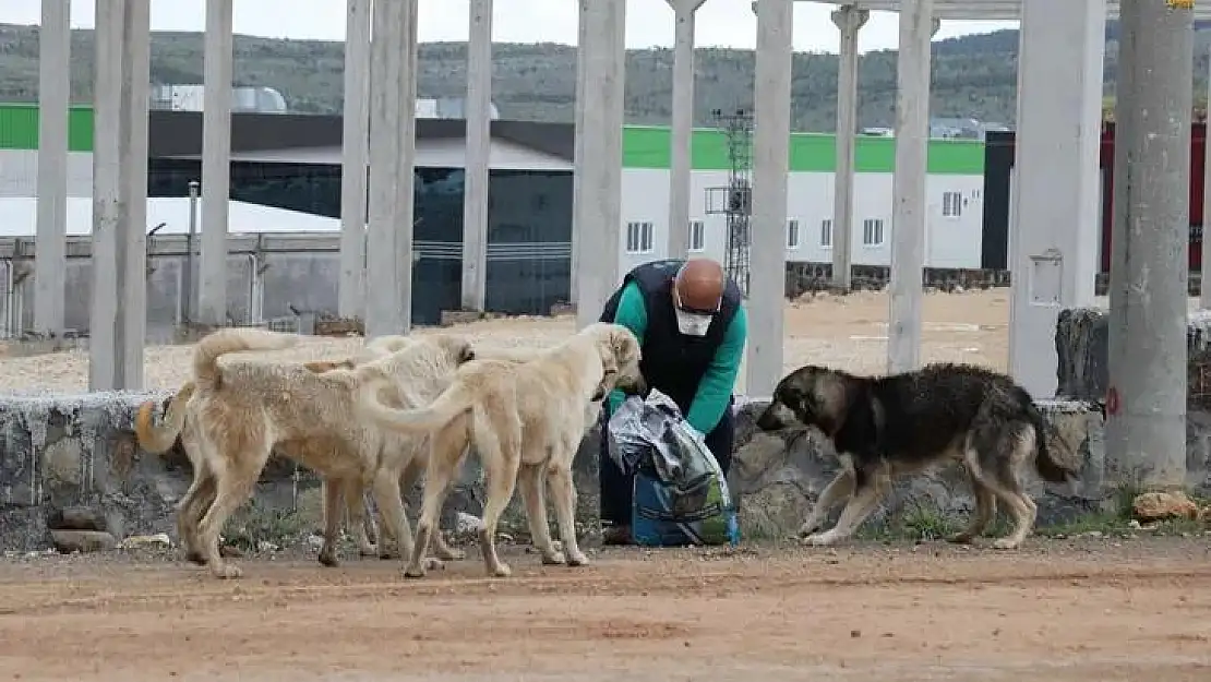 Çok tartışıldı