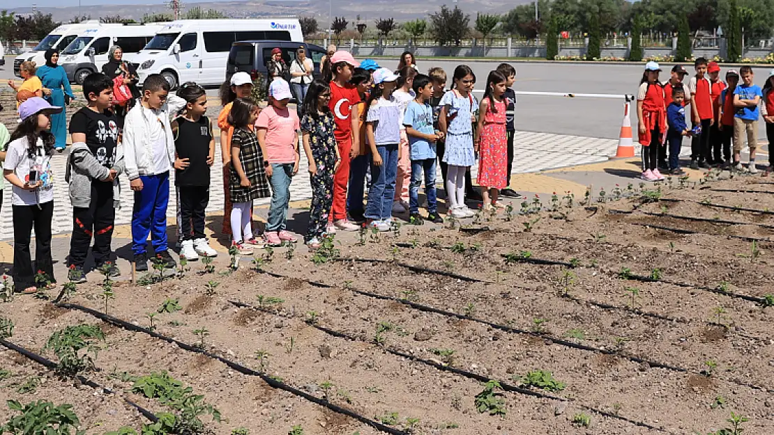 DOĞAL ÜRÜNLER BAHÇESİ, MİNİKLERİ AĞIRLADI