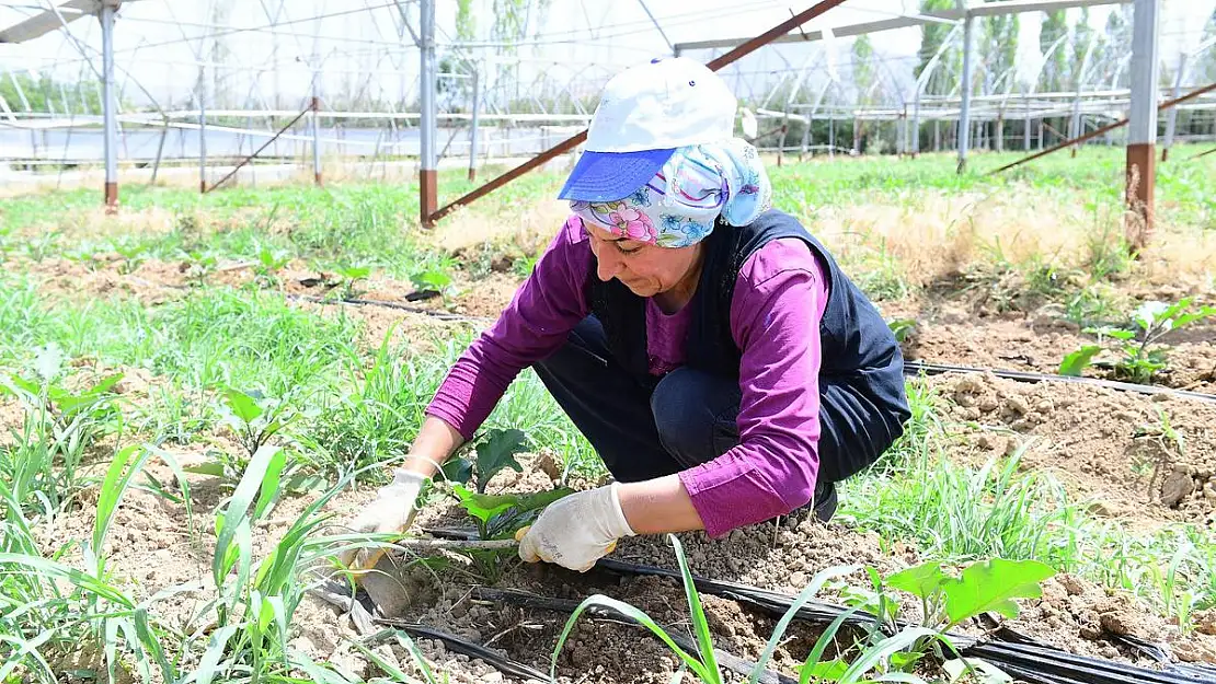 'Dört Mevsim Üretim İçin Kolları Sıvadık'