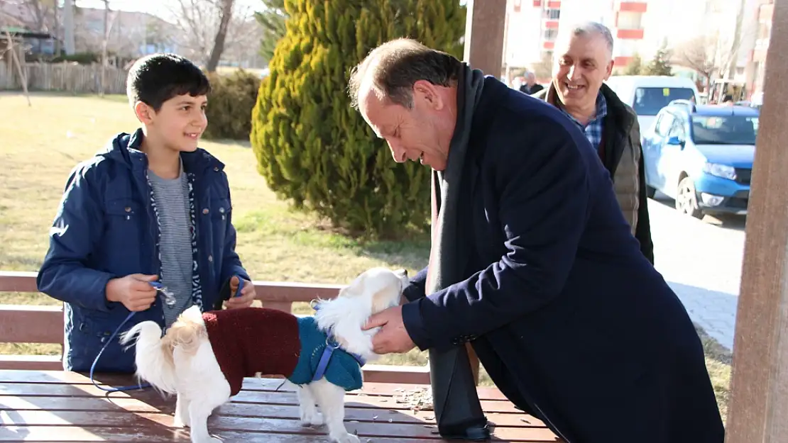 Ereğli Belediyesi sokak hayvanlarına da kucak açıyor