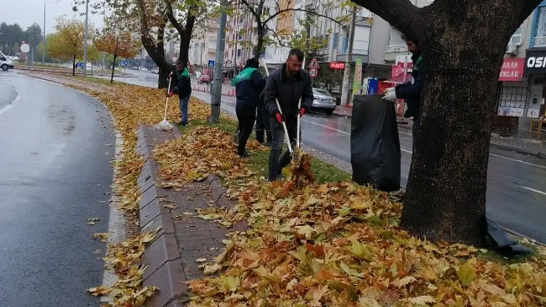 GAZELLER GÜBREYE DÖNÜŞÜYOR