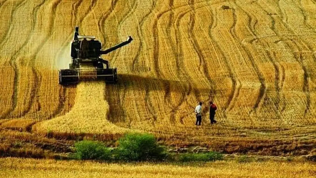 Haşereyle Mücadele Tüm HızıylaDevam Ediyor