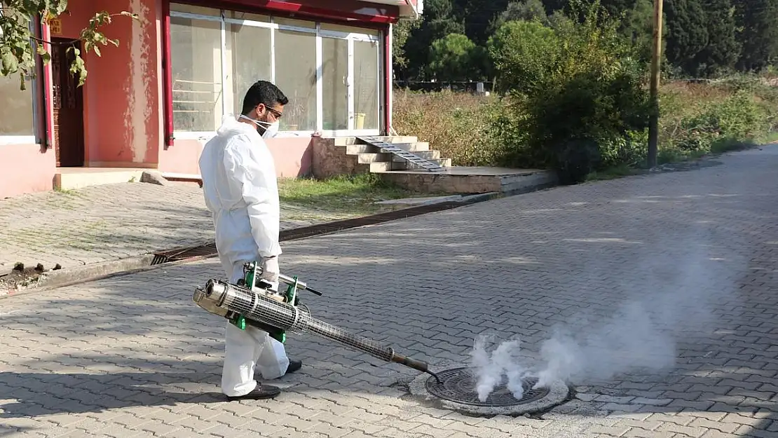 Hatay BÜYÜKŞEHİR'İN İLAÇLAMA ÇALIŞMALARI DEVAM EDİYOR