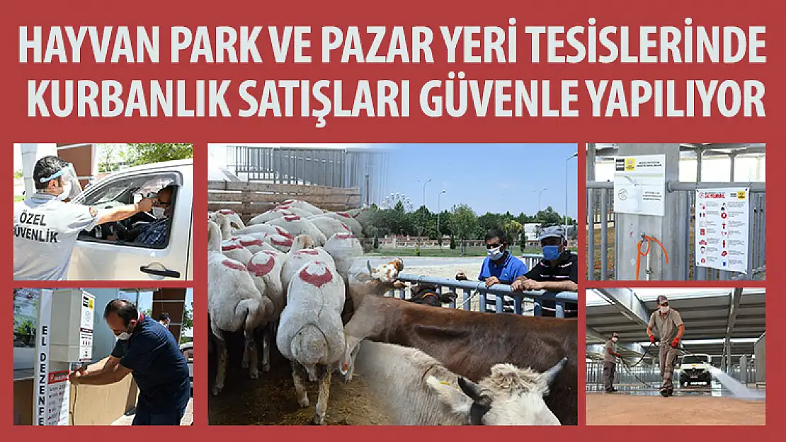 Hayvan Park ve Pazar Yeri Tesislerinde Kurbanlık Satışları Güvenle Yapılıyor