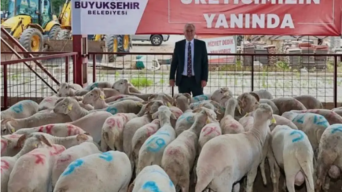 Hayvan üreticilerine büyük destek