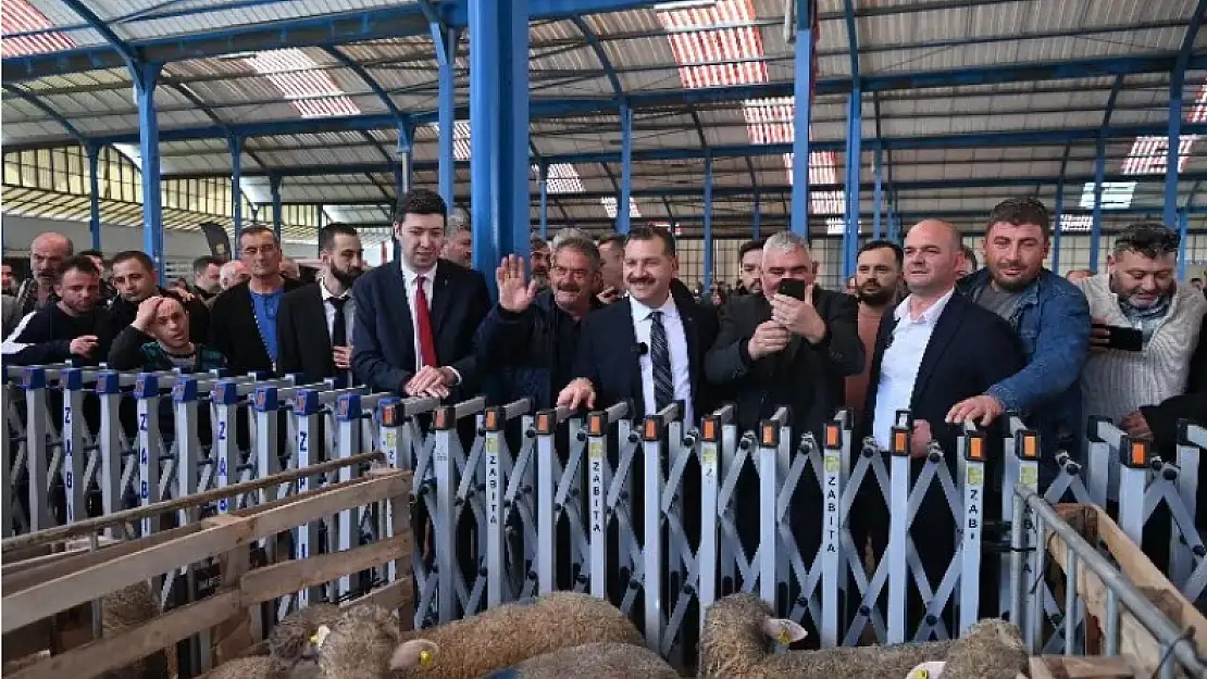 Hayvancılığa büyük destek