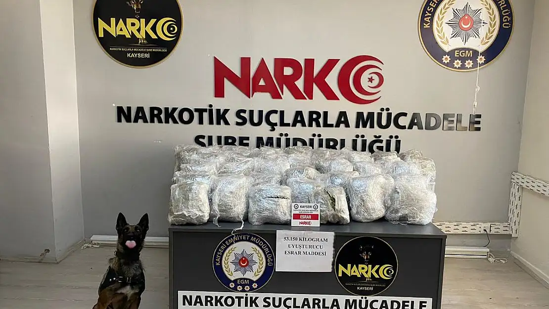 Hurçların içerisinde 53 kilo uyuşturucu madde bulundu