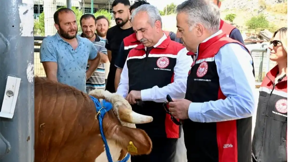 İzmir hayvan pazarları Kurban Bayramı'na hazır