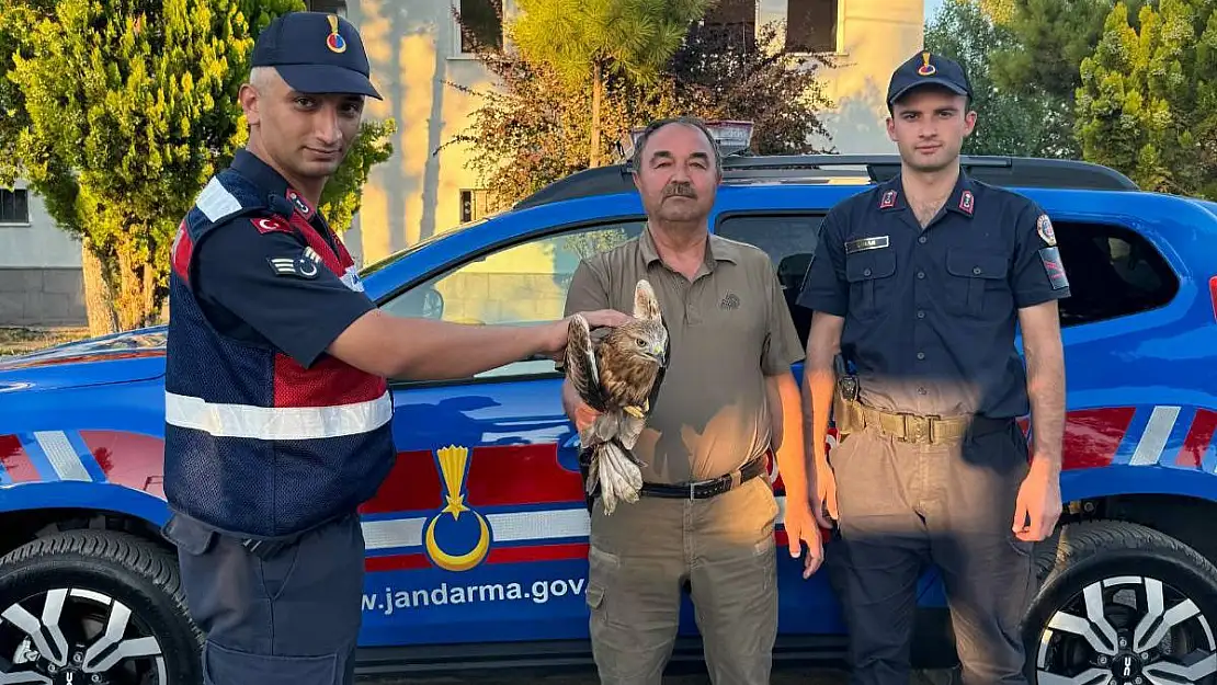 Jandarma ekiplerinden yaralı şahine yardım eli