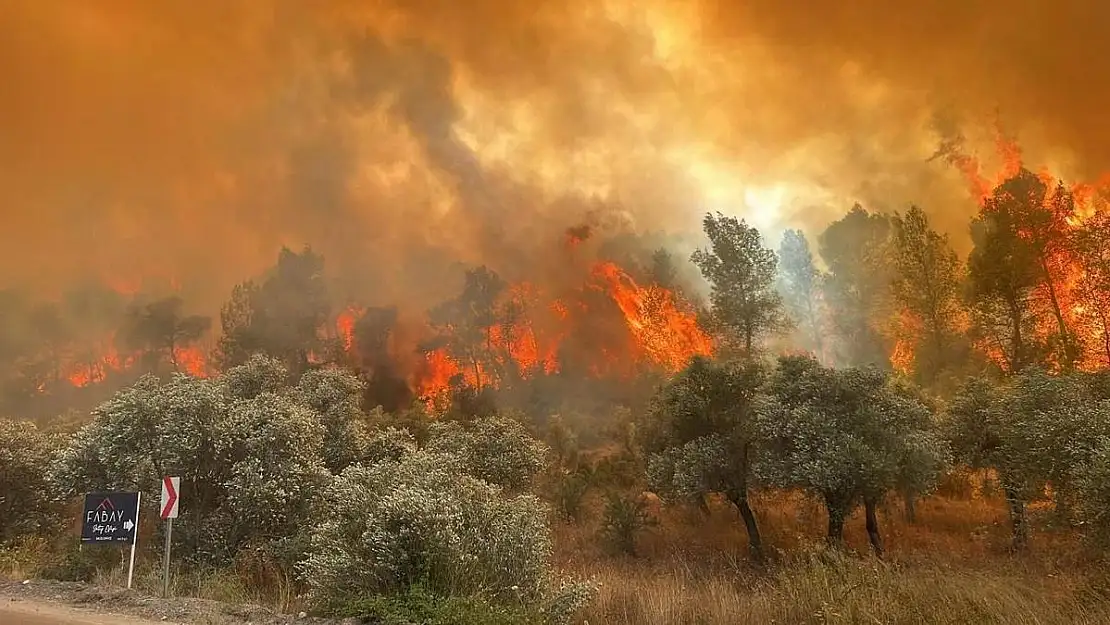 Kaçak kazı ve orman yangınına 18 yıl hapis istemi