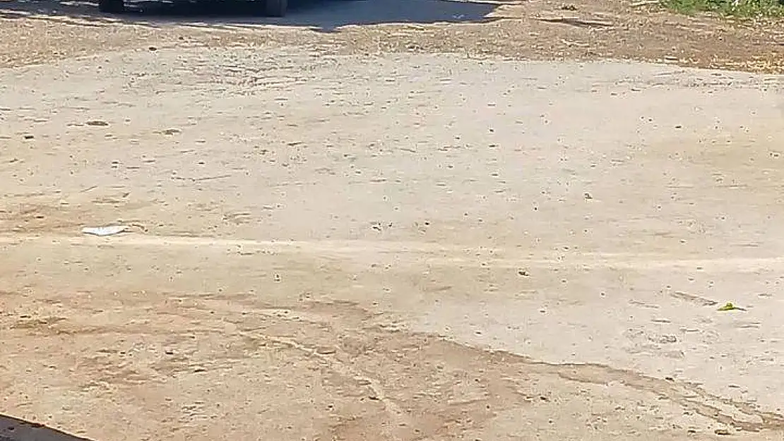 Kardeşlerin kanlı kavgası