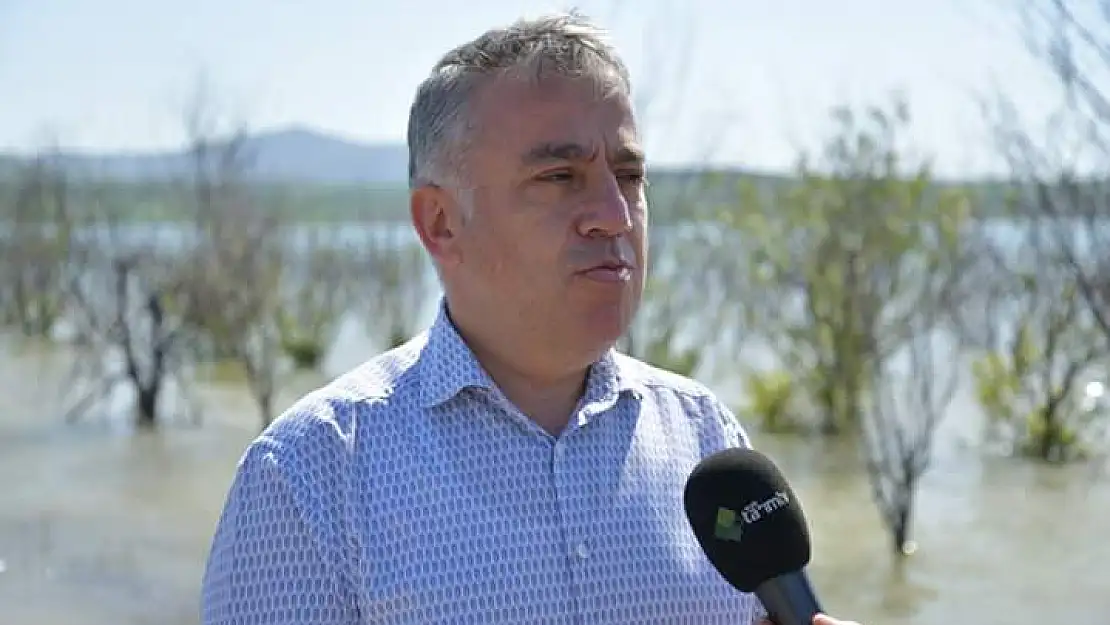 Kayseri de göletlere yavru sazan bırakıldı