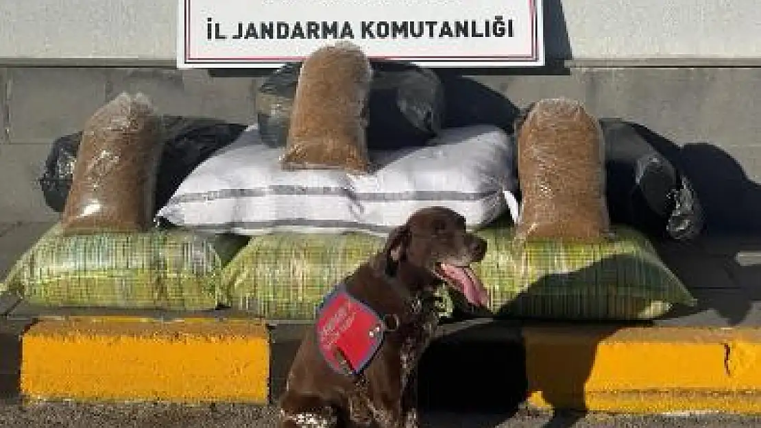 Kayseri'de jandarmadan Ağustos ayında huzur operasyonları