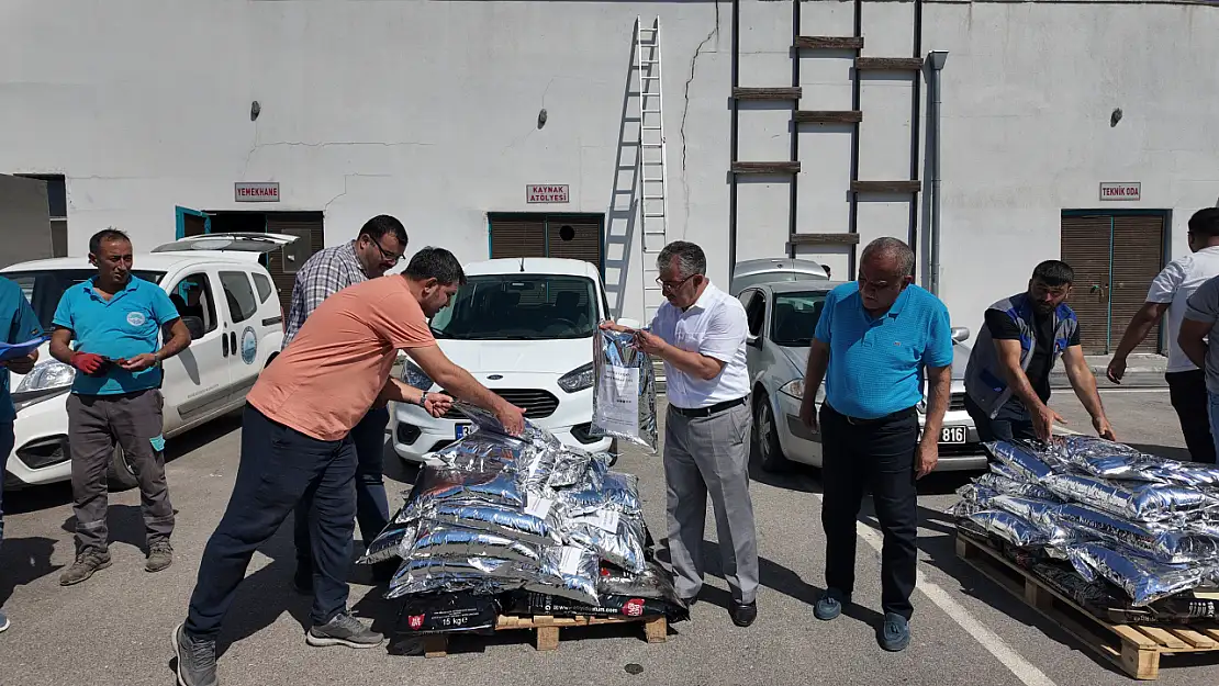 Kayseri'de sokak hayvanları için örnek uygulama
