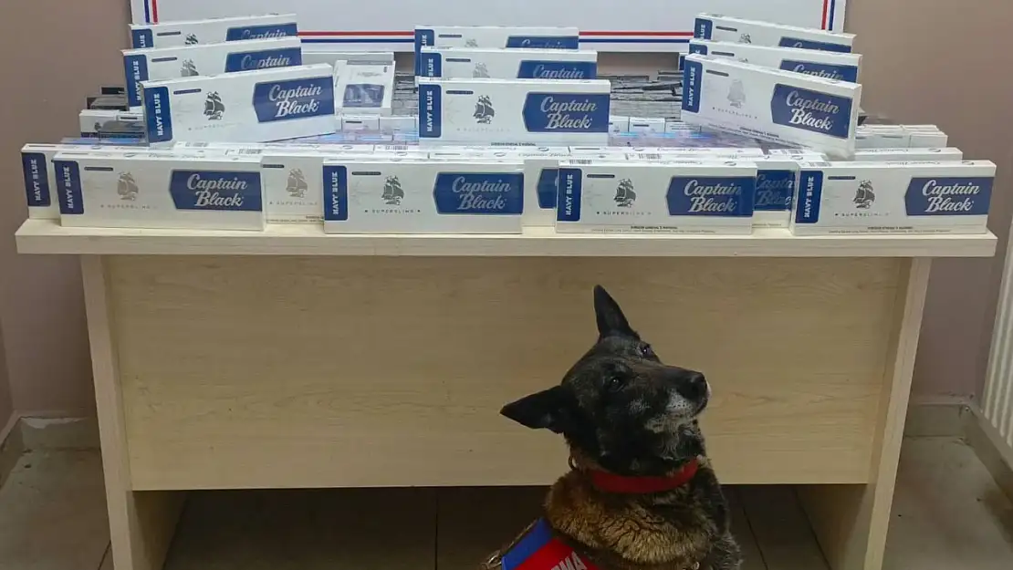 Kayseri'de Yol Kontrolünde 830 Paket Kaçak Sigara Ele Geçirildi