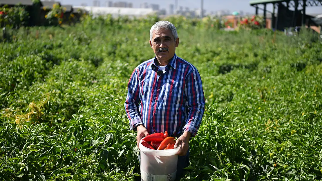 Kayserililer doğallığın tadını bu pazarda çıkarıyor