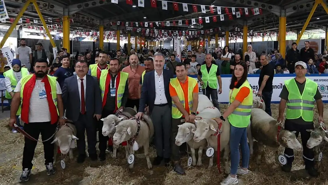 KİFGÜD'ÜN  BAŞARISI AVRUPA ÇAPINDA