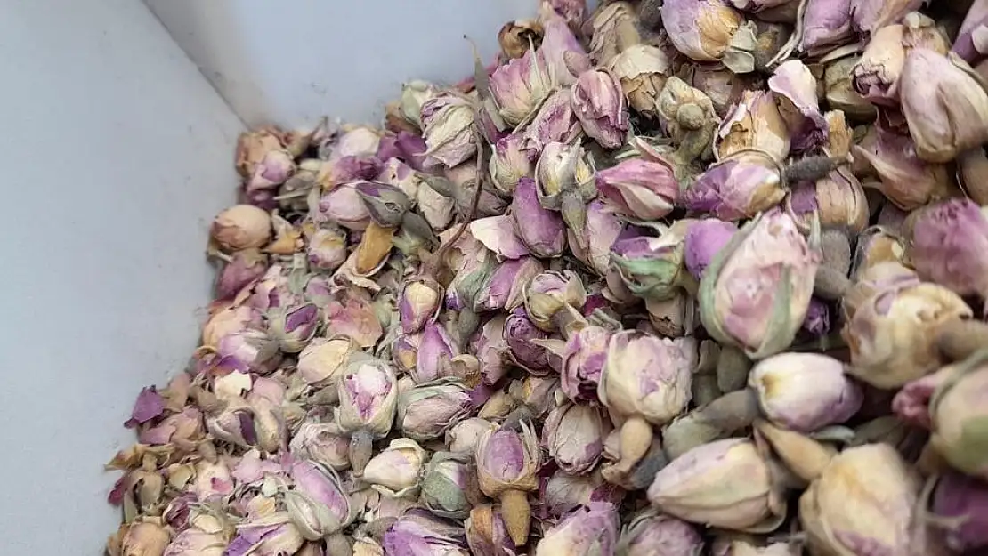 Kış hastalıklarından korunmak için bitkisel çözümler