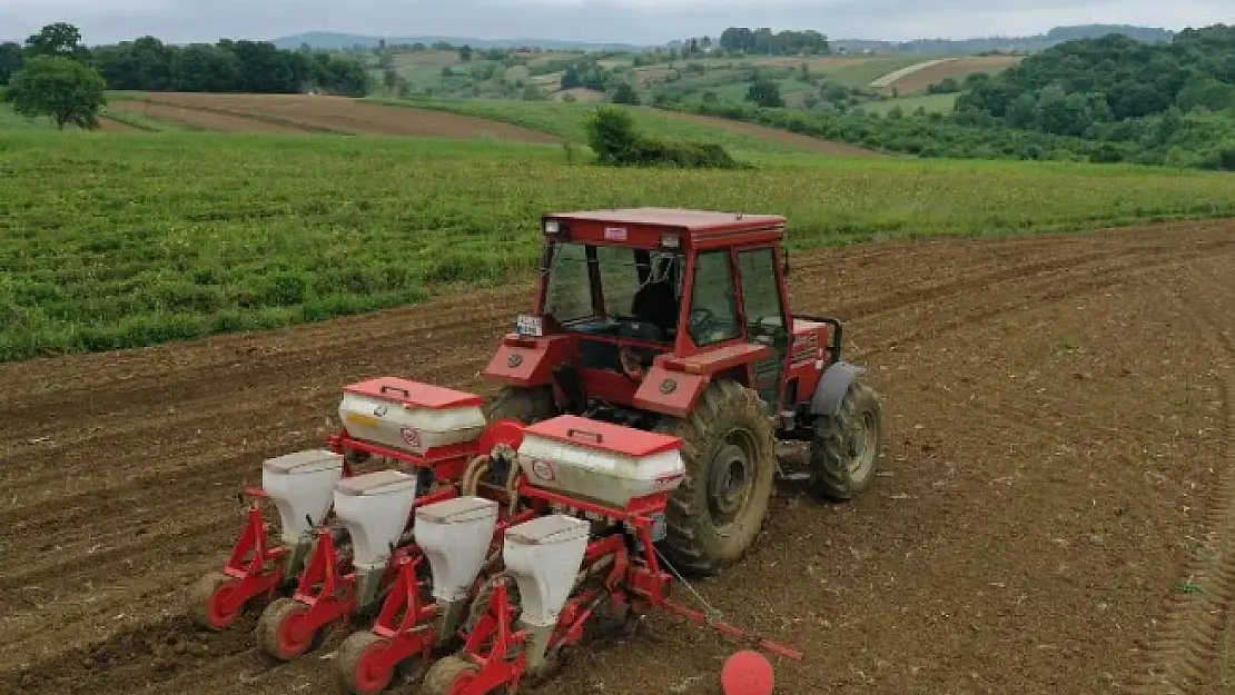 Kocaeli'de mısır tohumları toprakla buluşuyor