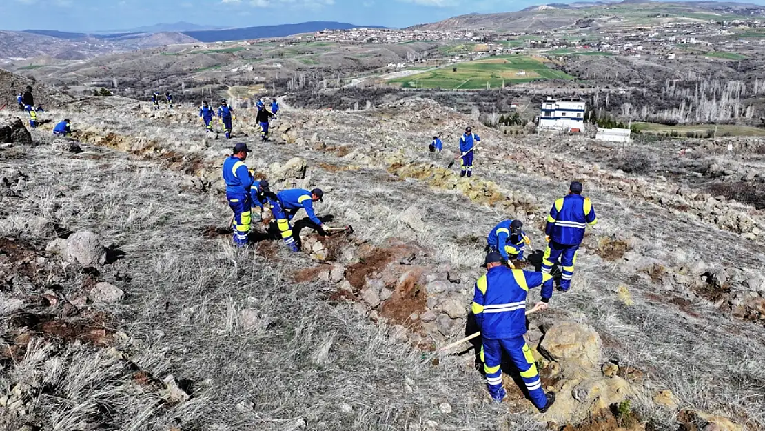 Kocasinan Belediyesi, ağaç dikim sezonunu başlattı