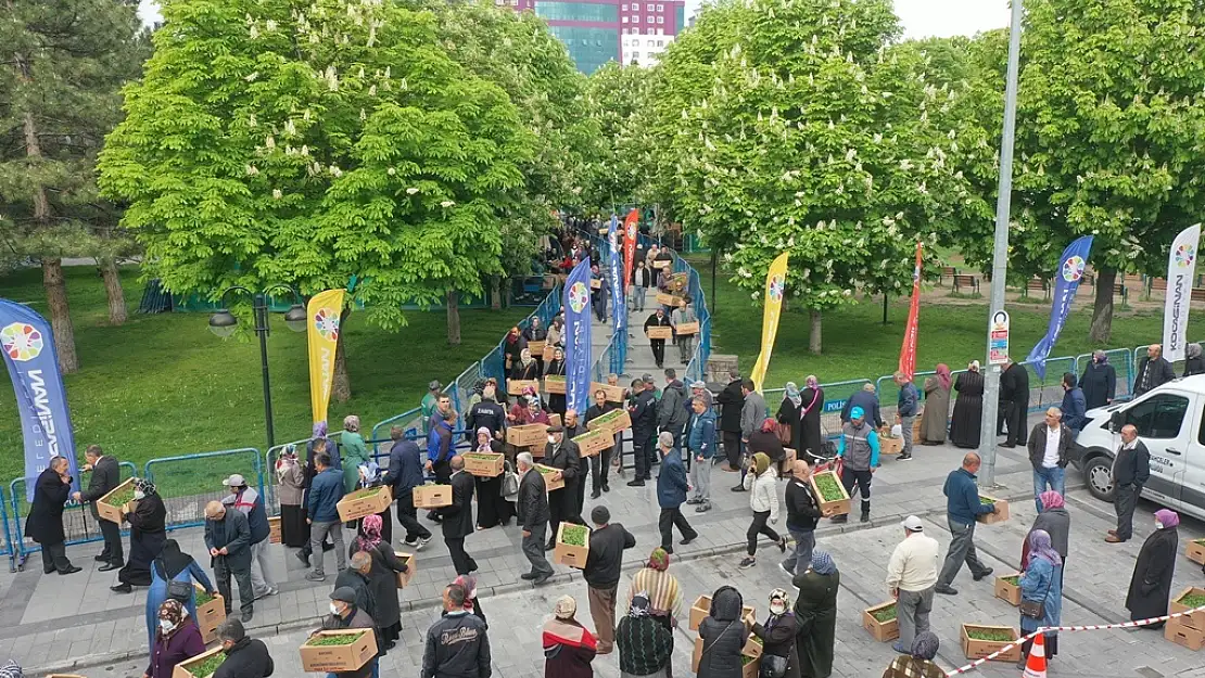 KOCASİNAN BELEDİYESİ'NİN DAĞITTIĞI FİDELER ÜRÜN VERDİ
