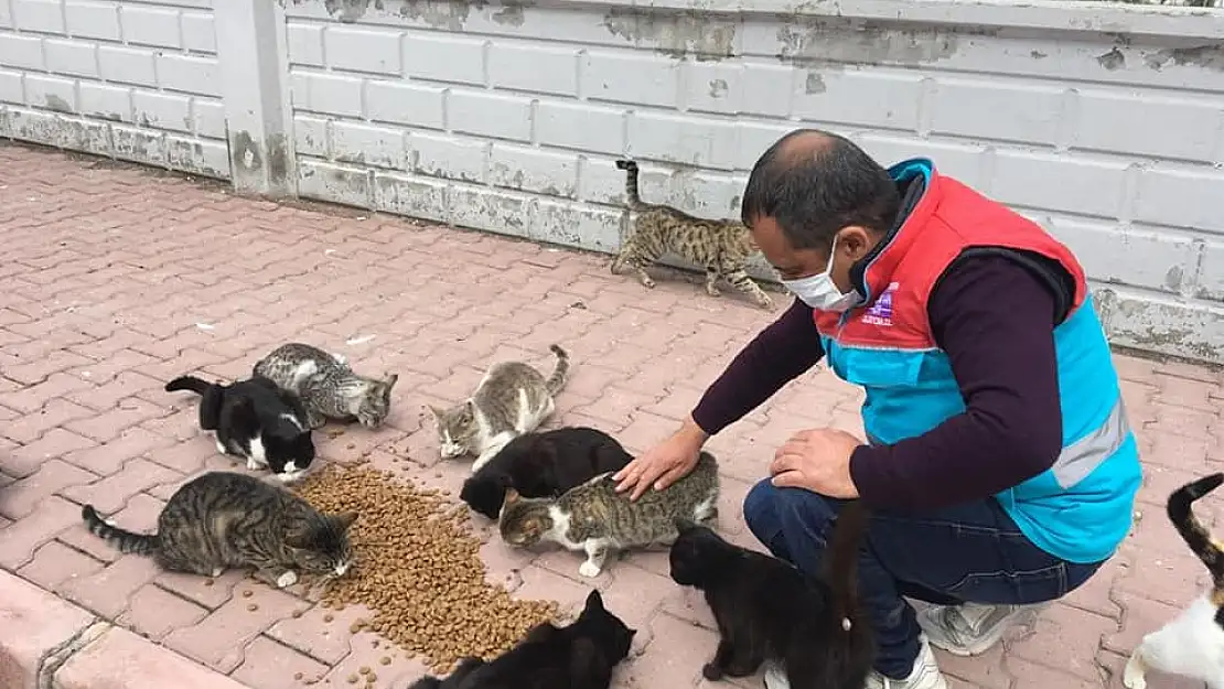 KOCASİNAN'DA SALGIN NEDENİYLE YEM BULMAKTA ZORLANAN  DOĞADAKİ CANLILAR İÇİN SEFERBERLİK