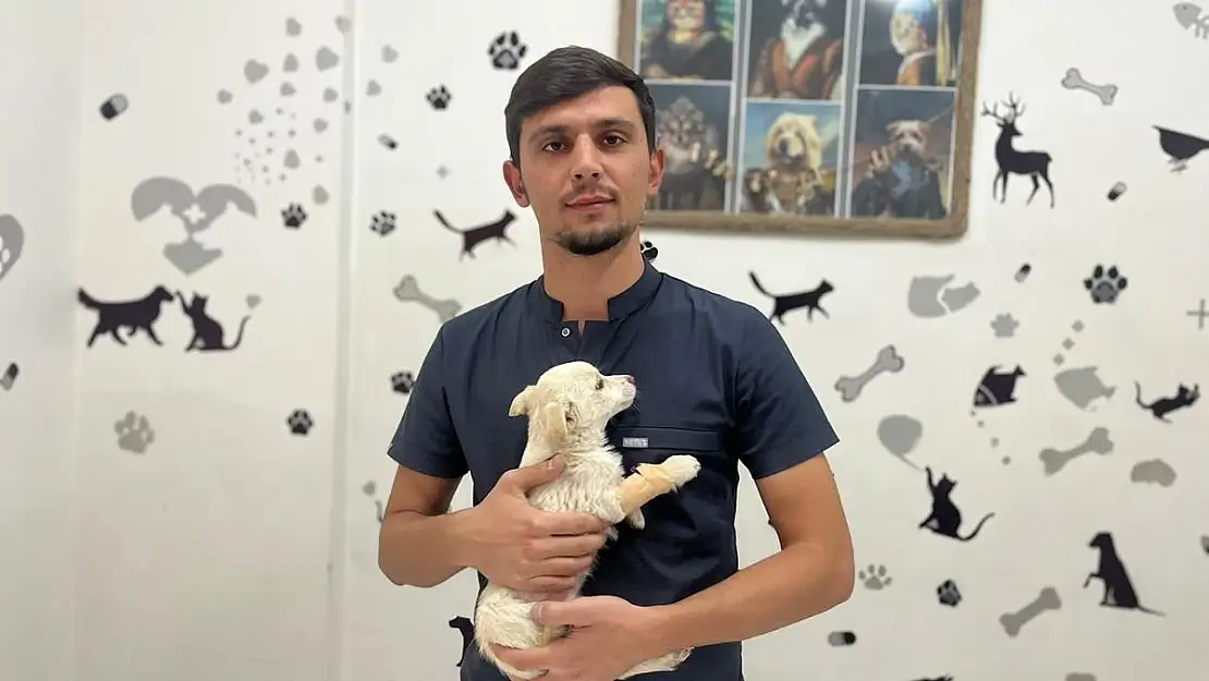 Kuduz bulaşan kişi 5 doz aşı yaptırmalı