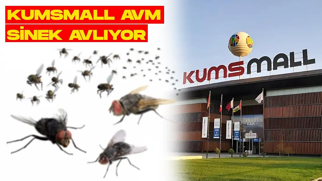 KUMSMAL AVM SİNEK AVLIYOR