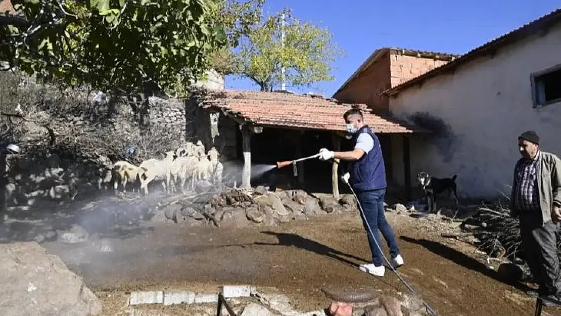 Manisa'da mavi dil ilaçlaması