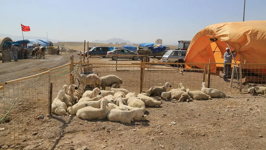 Melikgazi'de Kurban Satış Yerleri Hazır