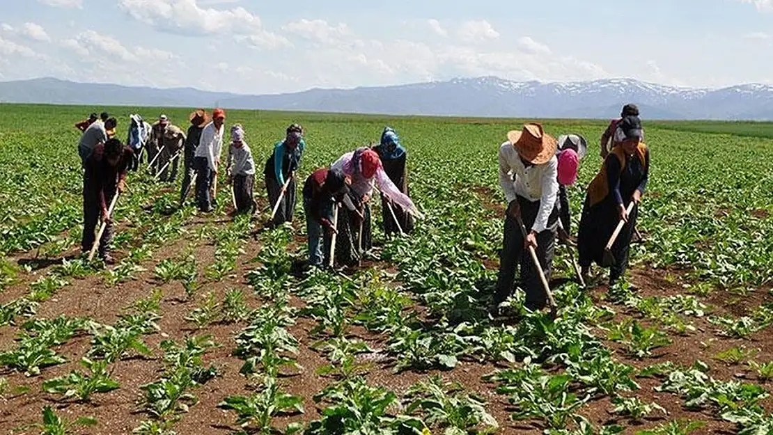 Mevsimlik işçilere 25 milyon lira destek