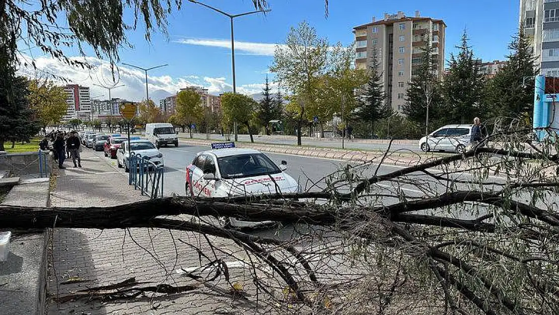 O şehri fırtına vurdu