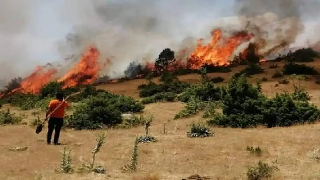 Sekidağı'nda korkutan yangın: Söndürüldü